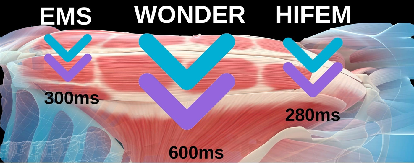 Contour Clinic Braunschweig Body Wonder Vergleich